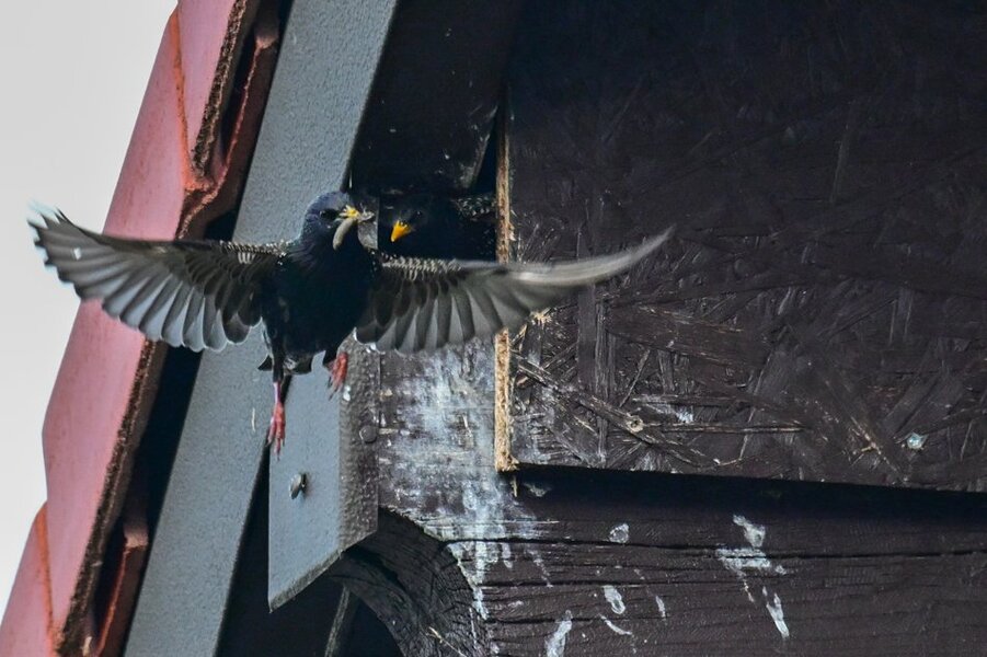 DSC_3214.jpg