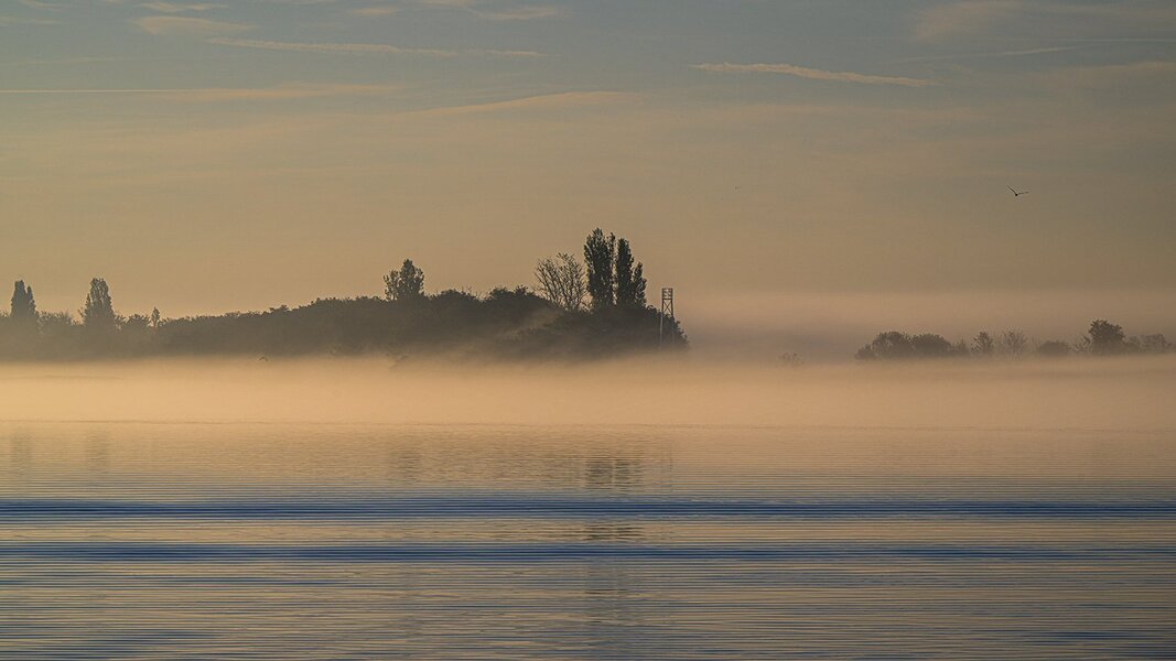 Morgennebel auf dem Bodden 2  HZ9_2841.jpg