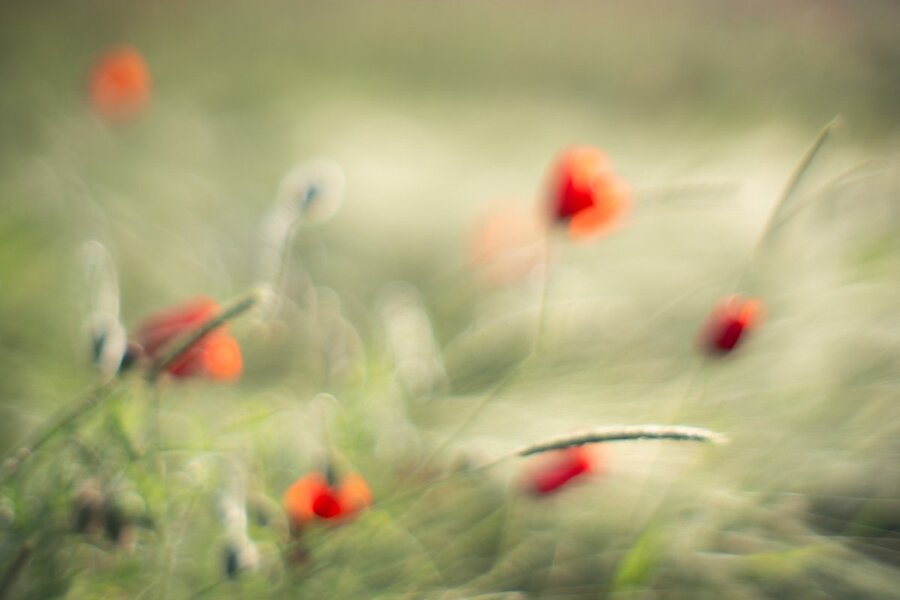 ci_A7507127.jpg