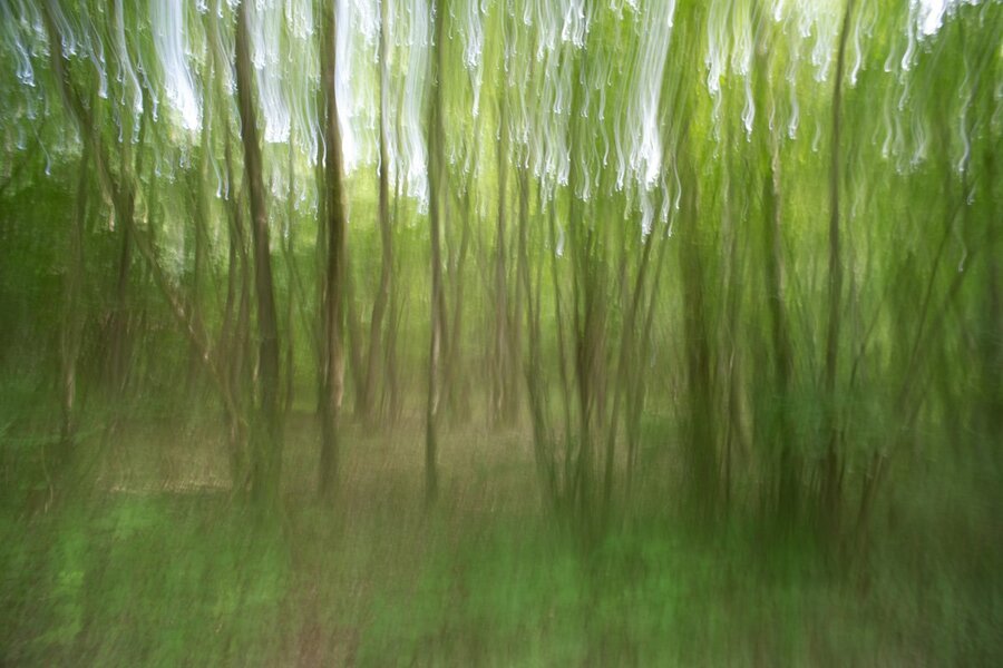 ci_A7506859.jpg
