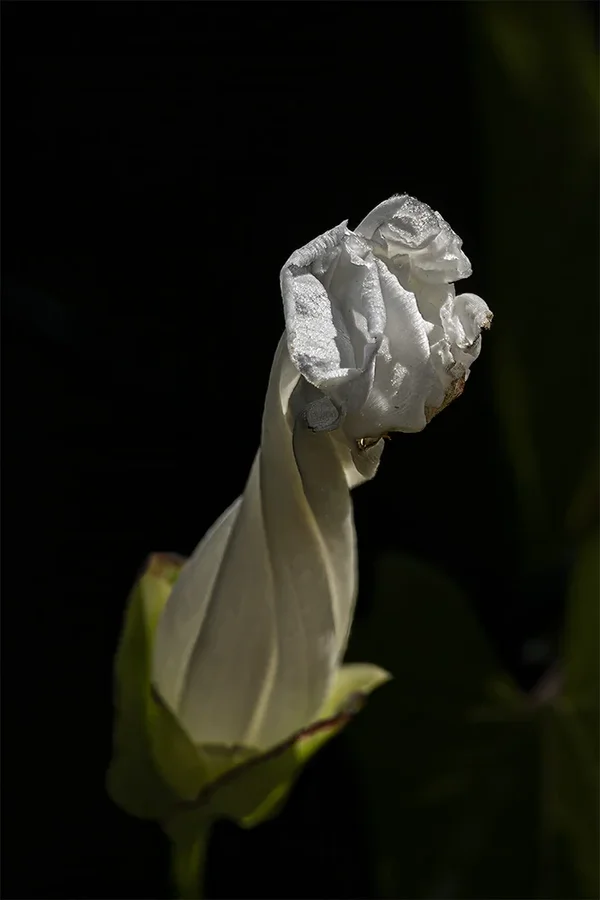 DSC_0756.webp