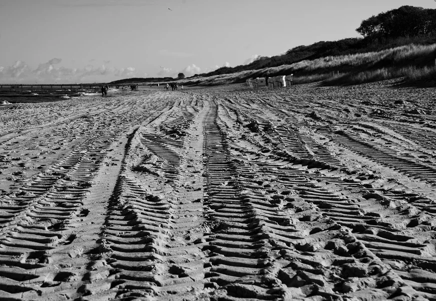 ci_A7401967_se.webp