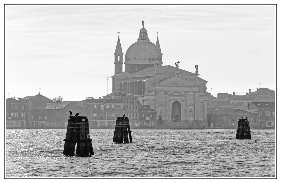 _IMG7269_1_DxO.webp