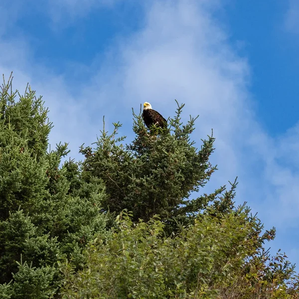 20260912_102145-0077.webp