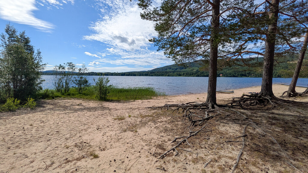 51377698eb.jpg