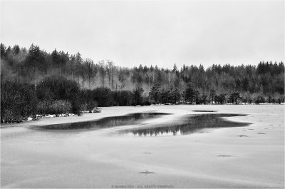 Eissee_v2.jpg