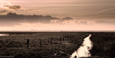 20111230-_HOF8746-alt-alt.jpg 20111230-_HOF8746-alt-alt.jpg