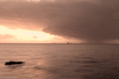 20111230-_HOF8761-alt.jpg 20111230-_HOF8761-alt.jpg