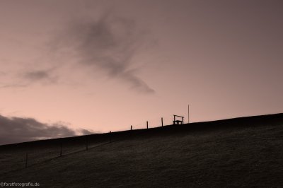 20111230-_HOF8799-alt.jpg 20111230-_HOF8799-alt.jpg