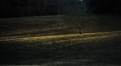 06012012-162623-0007-N3S.jpg