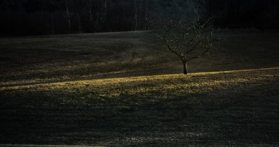 06012012-162623-0007-ND3S.jpg