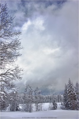 WinterLand3.jpg