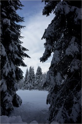WinterLand4.jpg