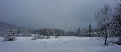WinterLand2.jpg