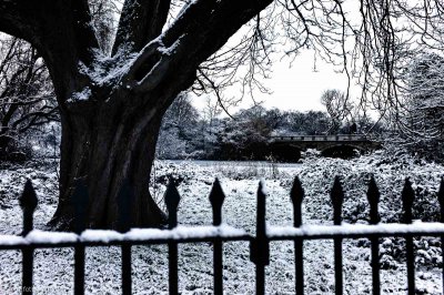 20120210-HOFL1005267_alt_-3.jpg