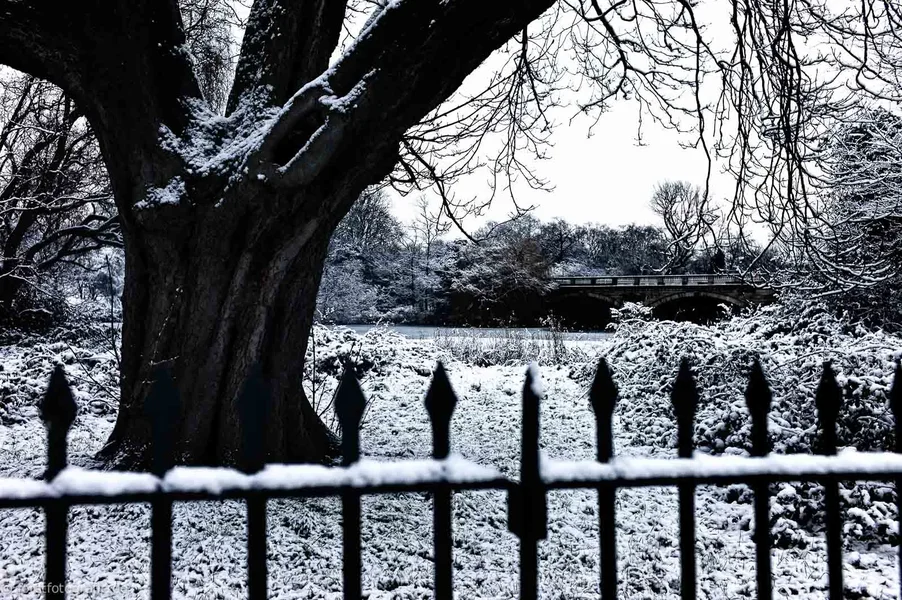 20120210-HOFL1005267_alt_-3.webp