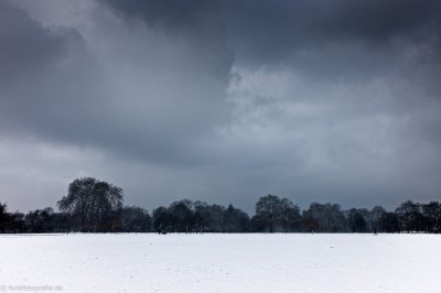 20120210-HOFL1005274_alt_-3.jpg