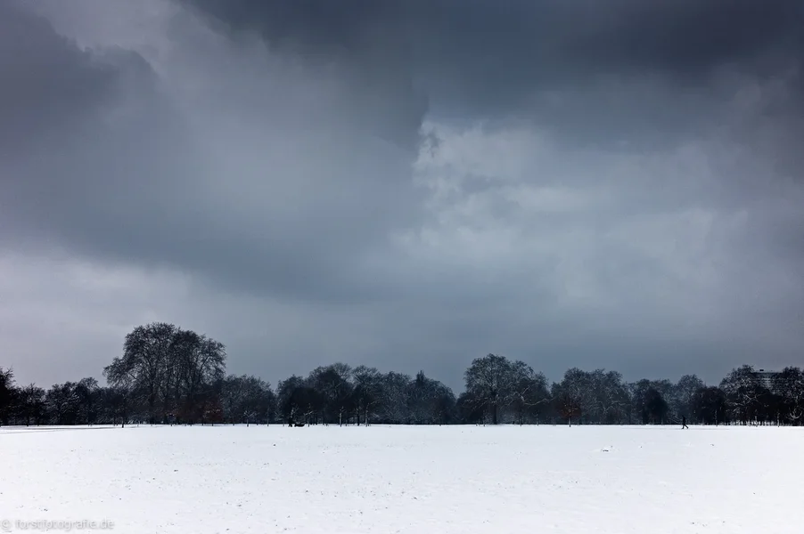 20120210-HOFL1005274_alt_-3.webp