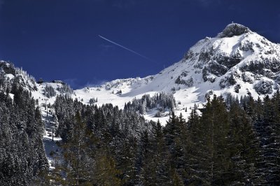 winterkitsch2.jpg