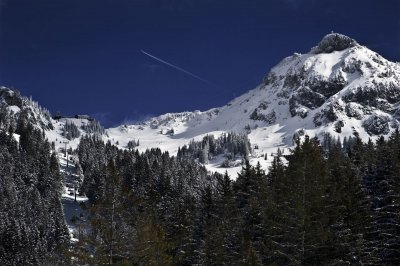 winterkitsch3.jpg