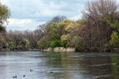 Donau600.jpg