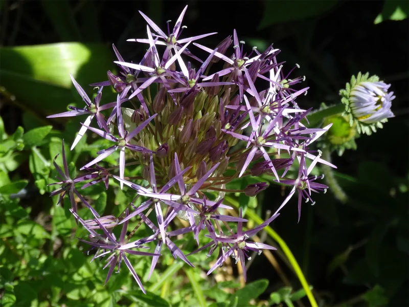 DSC00139_1.webp