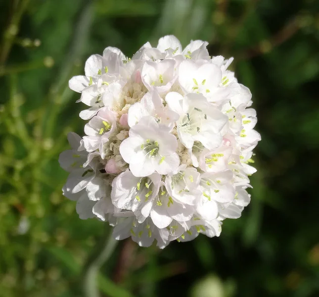 DSC00144_1.webp