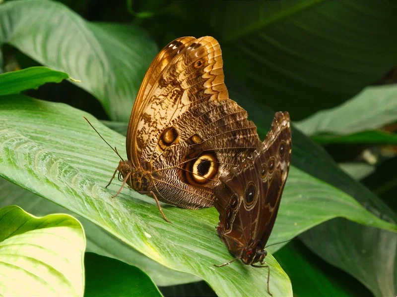 DSCN3597.webp