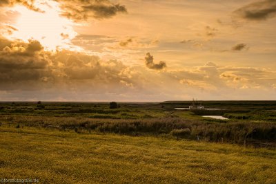 20120715-_HOF3887-alt-alt.jpg