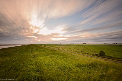 20120717-_HOF3994-alt.jpg 20120717-_HOF3994-alt.jpg