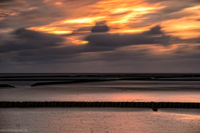 20120717-_HOF4024-alt.jpg 20120717-_HOF4024-alt.jpg