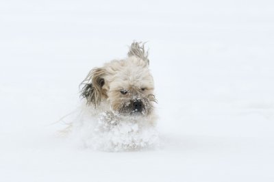 _DSC0927_20110130_141537-2-nf.jpg