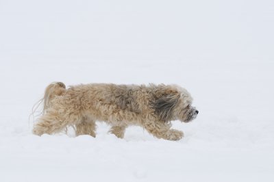 _DSC0944_20110130_141930-nf.jpg