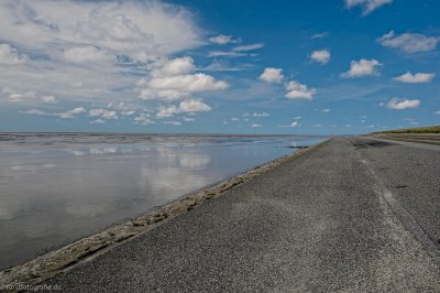 20120728-_HOF5028-alt.jpg 20120728-_HOF5028-alt.jpg