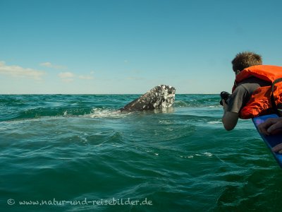 DSCN0152.jpg DSCN0152.jpg