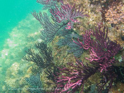 DSCN0247.jpg DSCN0247.jpg