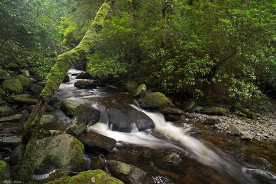 Torc 010.jpg Torc 010.jpg