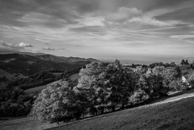 (c)MFocks_2012-10-05Schwarzwald-7.jpg