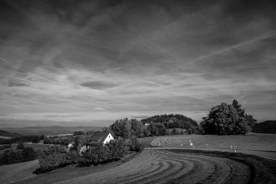 (c)MFocks_2012-10-05Schwarzwald-20-2.jpg