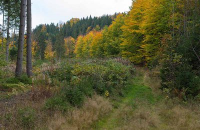 _AG11300.jpg _AG11300.jpg