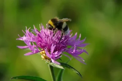 IMGP3126_1.webp
