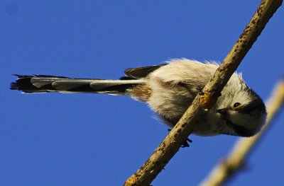 _IGP4365_bearbeitet-2.jpg