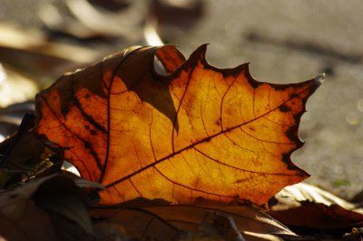 _IGP6807_c.jpg