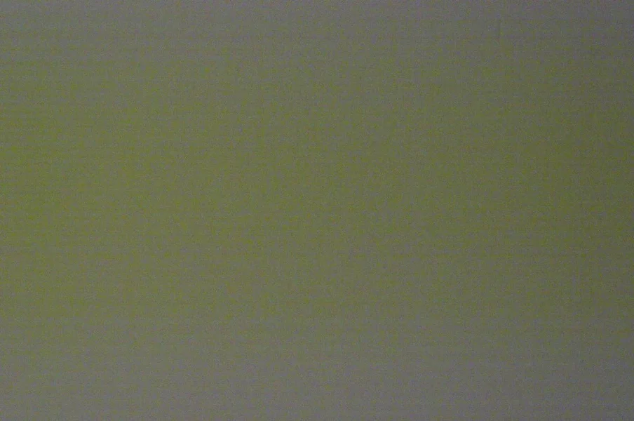 IMGP0092.webp