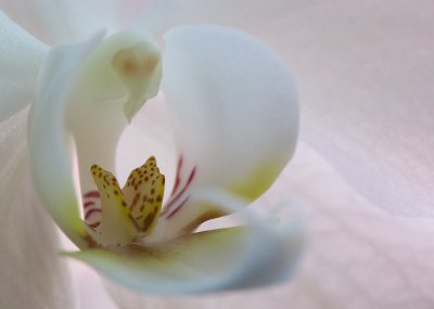 IMGP6018_ci.jpg
