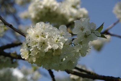 _IGP0634.jpg