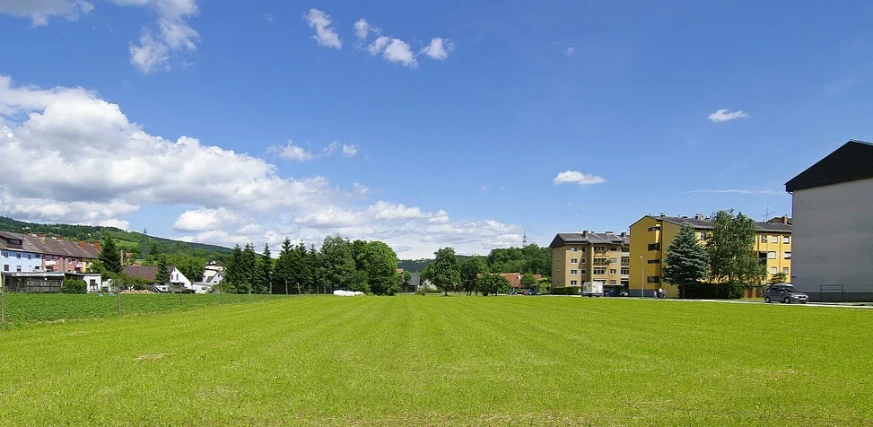 waWALT1353jpg_ji.webp