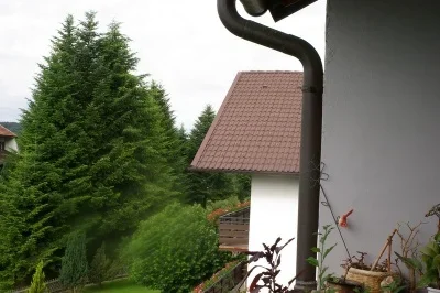 Bild 2.webp