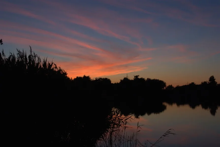 AmTeich1b.webp