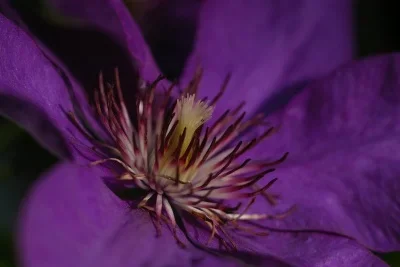 IMGP7032.webp